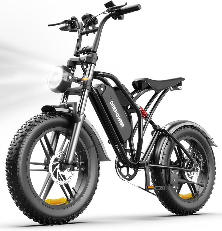 Rideon Electric Bike, 1500W Ebike for Adults, 32 MPH, 20" Fat Tire Electric Motorcycle,48V 13AH/20AH/25Ah Removable Battery