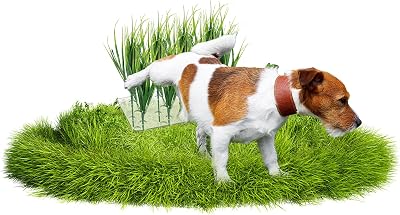 6 PCS Fake Grass Plants Pee Post for Dogs to Pee on, Reusable Washable Artificial Grass for Guiding Male Dogs to Urine and Preventing Urine from Splashing Everywhere