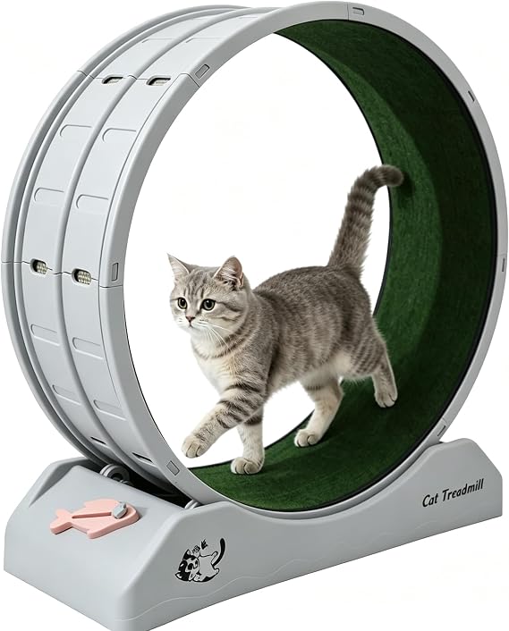 Cat Exercise Wheel,Cat Wheel Indoor,Running Wheel with Carpeted Runway | Cats Treadmill with Silent Spinning & Safety Lock Low Noise,Treadmill for Kitty's Health,for Fitness Weight