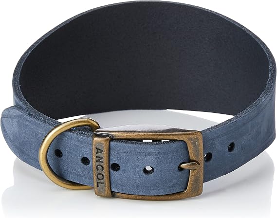Ancol Timberwolf Greyhound Collar Blue 34-43 cm