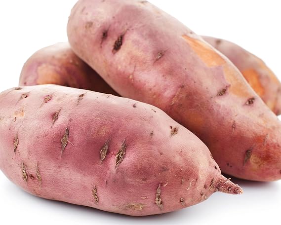 Organic Garnet Seed Sweet Potatoes Non GMO for Planting or Cooking, New Crop 10 lbs