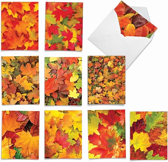 The Best Card Company - 10 Beautiful Note Cards Blank (4 x 5.12 Inch) - Fall and Autumn Season, Boxed Notecard Assortment - Leaf a Message M2009