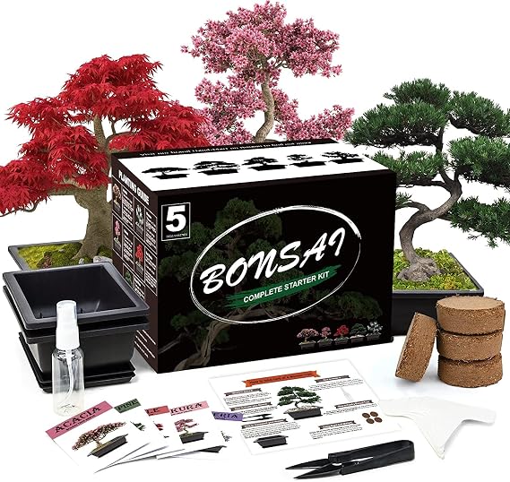 Meekear Bonsai Tree Kit with Complete Plant Growing Tools, Grow in Pot Indoor Bonsai Tree Starter Kit, Home Gardening DIY Gift for Adult (Growing into Acacia, Wisteria, Sakura, Red Maple, Black Pine)