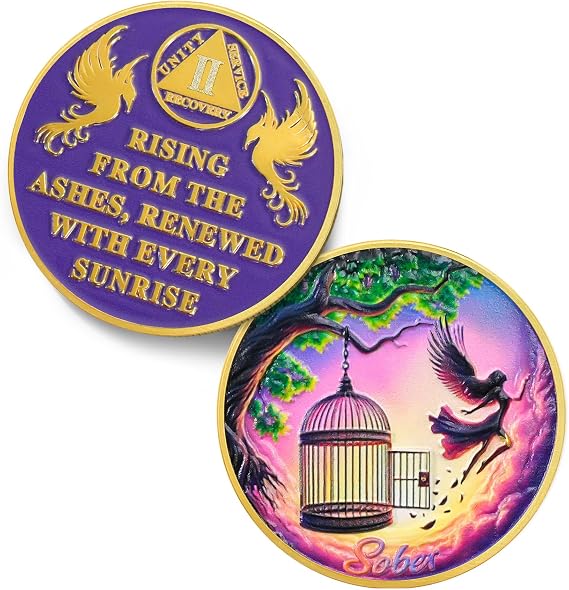 Break Free 2 Year Sobriety Coin - Rising from The Ashes Phoenix 2 Year AA Coins - Recovery Addiction Fairy NA AA Chips and Medallions - 1-10 Prime Living Clean Alcoholics Anonymous Gifts for Men Women