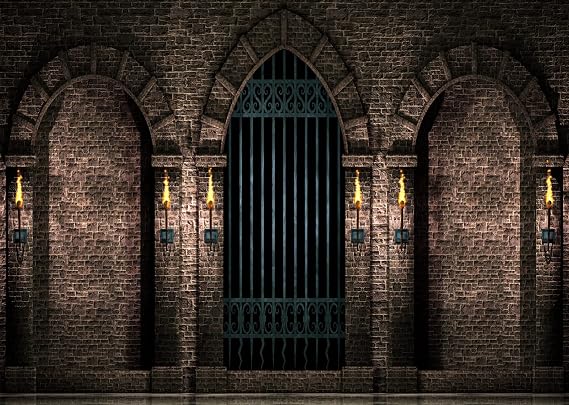 BELECO 7x5ft Fabric Gothic Castle Photography Backdrop Ancient Stone Wall Arches Iron Gates Torches Prison Corridor Halloween Night Background Medieval Castle Birthday Party Decorations Photo Props