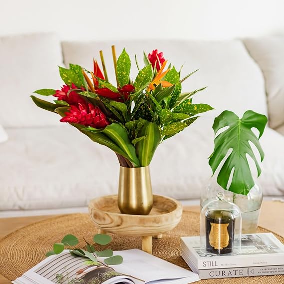 BloomsyBox: Tropical Bouquets Bloom with a view, Fresh Cut Flowers, Long Lasting & Hand-Tied, Farm Fresh Flowers Bouquet, Responsibly Sourced | Perfect for weddings, birthdays & anniversary