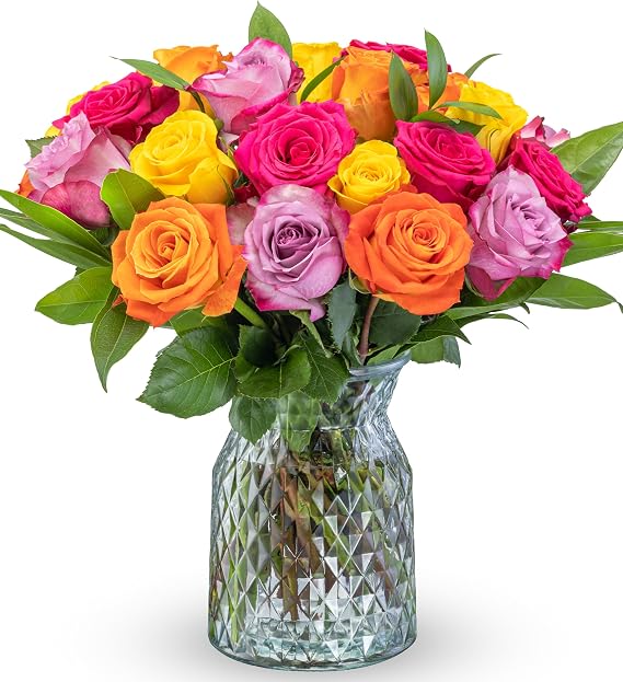 Benchmark Bouquets Two Dozen Long Stem Rose Bouquet Real Fresh Flowers for Delivery Mothers Day Roses Assorted Colors Gifts for Mom, Birthdays & Celebrations Glass Vase Included