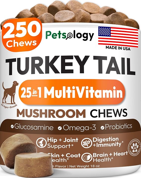 Turkey Tail Mushroom for Dogs - 250 Chews - Lion's Mane, Shiitake & Reishi | Buddy Immune Support Guard - Lipoma Mushroom Supplement for Dogs Lumps & Bumps - Glucosamine, Health Vitamins & Multivitamin