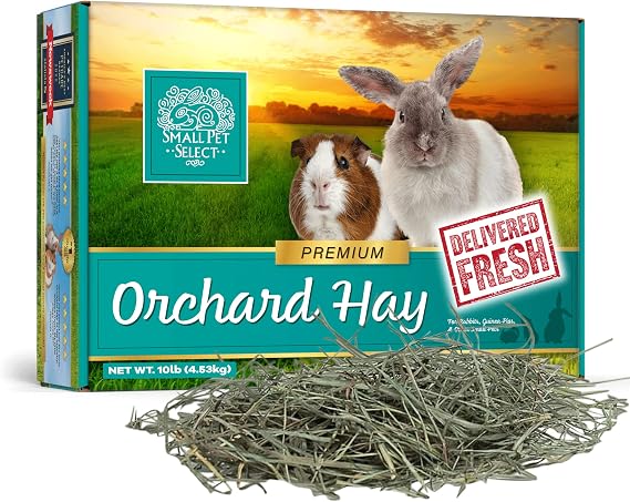 Small Pet Select Orchard Grass Hay Pet Food for Rabbits, Guinea Pigs, Chinchillas and Other Small Animals, Premium Natural Hay Grown in The US, 10lb (4.54kg) | Premium Natural Grass Hay, Grown in USA, Soft High Fiber Forage, For Chinchillas, Bunnies, Hamsters & Small Pets