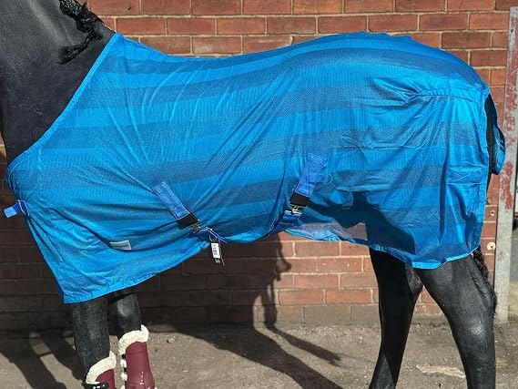 HORSE FLY RUG FLY SHEET FOR HORSE PONY SHETLAND BLUE 5'0" to 7'0" (6'3")
