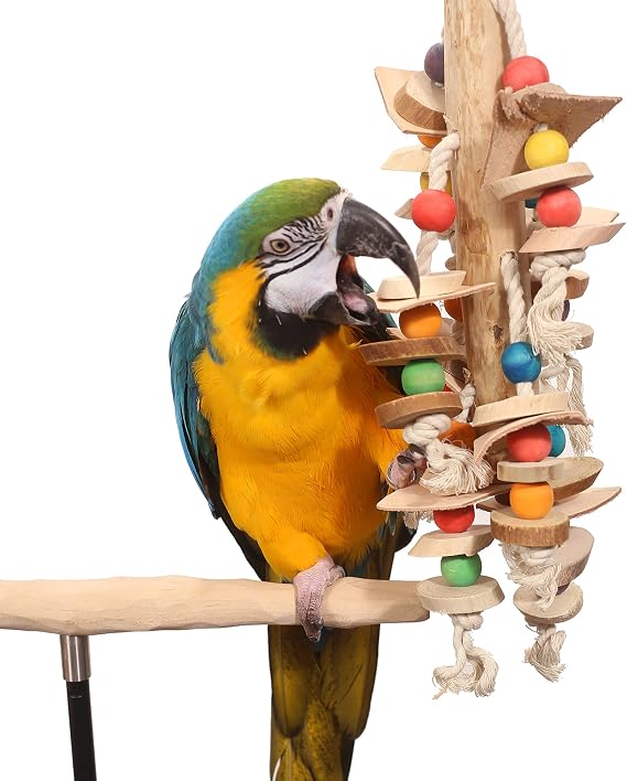 Explorer Pole - Large Parrot Toy Java Branch