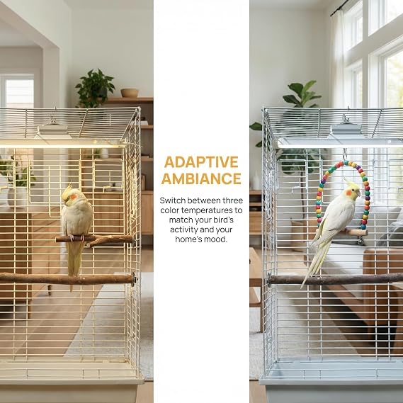 Bird Cage LED Light 3 Color Modes, USB Rechargeable, Adjustable Brightness