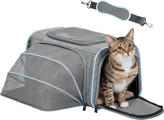 Petsfit Small Expandable Cat Carrier for Air Travel, Up to 9 lb