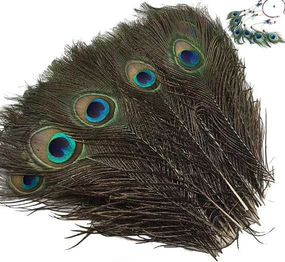 15Pcs Peacock Feathers, Peacock Feathers Long, Real Natural Peacock Eye Feathers, 10-12 Inches Peacock Tail Feather for Carnival Revelry Masquerade Costume Wedding Vase Christmas Party DIY Art & Craft