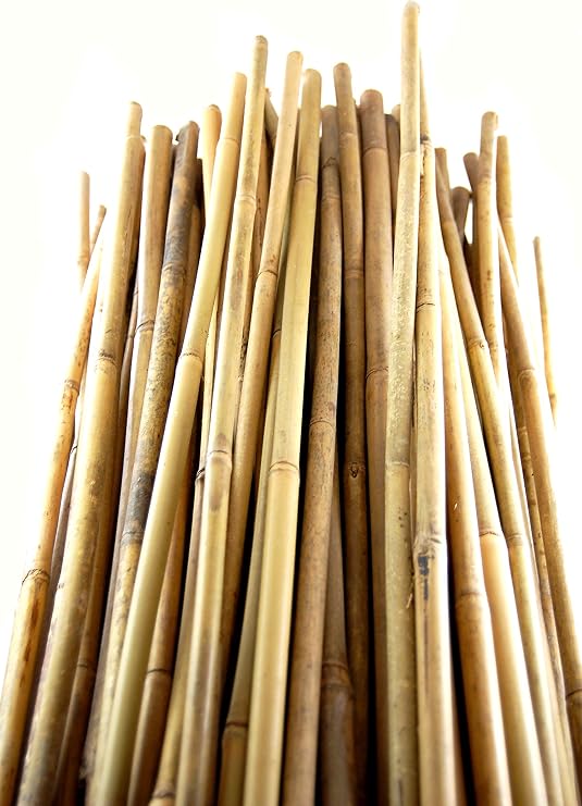 Bamboo Stakes - Natural - (H) 5' x (D) 7/16" - Plant Canes - Bundle of 250 by Growers Solution