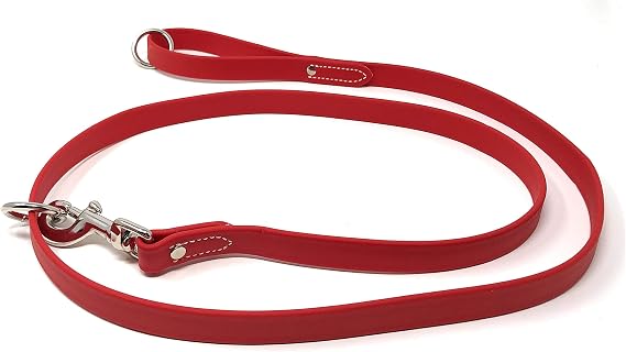 Regal Dog Products 防水リーシュ – 5フィートレッドドッグリーシュ 使いやすいカラーフック付き 軽量 プルーフトレーニングペットリード ビニールコーティングウェビング付き 小型、中型、大型、XL犬用