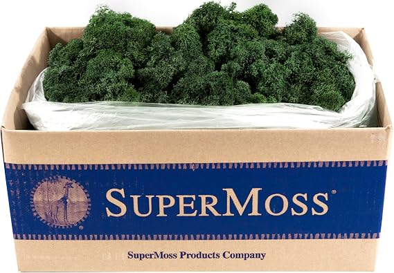 Super Moss (21710) Reindeer Moss Preserved, Forest Green, 3lbs