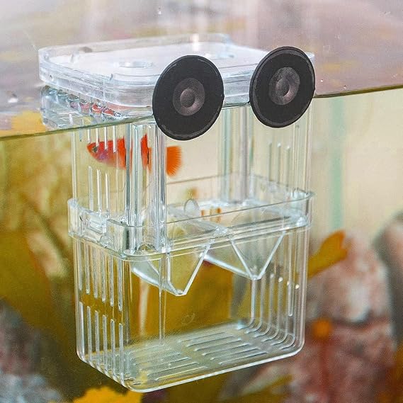 AUTUUCKEE Fish Breeding Box, Plastic Aquarium Fish Tank, Floating Fish Incubator with Suction Cups (11x8x7 cm) for Guppy, Tropical Fish